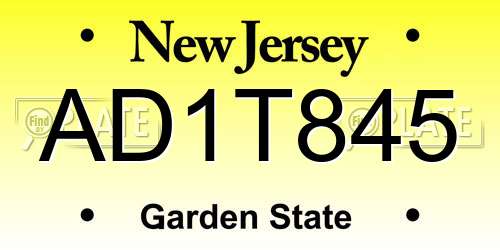 AD1T845 New Jersey License Plate
