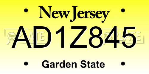 AD1Z845 New Jersey License Plate