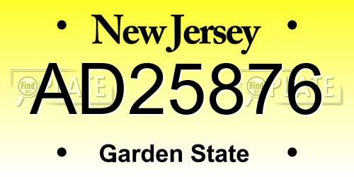 AD25876 New Jersey License Plate