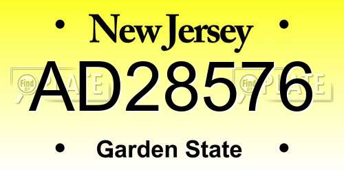 AD28576 New Jersey License Plate