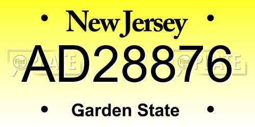 AD28876 New Jersey License Plate