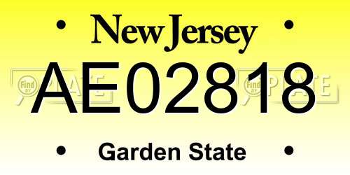 AE02818 New Jersey License Plate