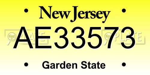 AE33573 New Jersey License Plate