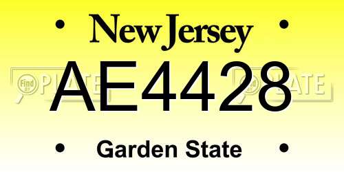 AE4428 New Jersey License Plate