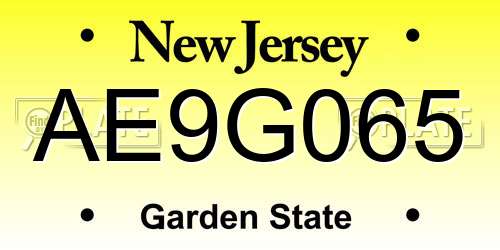 AE9G065 New Jersey License Plate