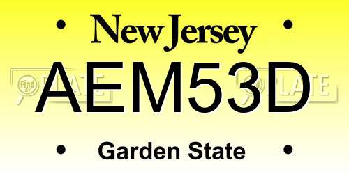 AEM53D New Jersey License Plate