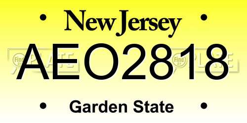 AEO2818 New Jersey License Plate