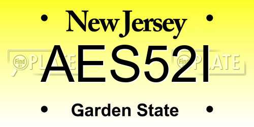AES52I New Jersey License Plate