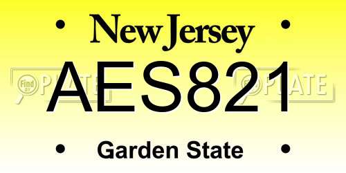 AES821 New Jersey License Plate