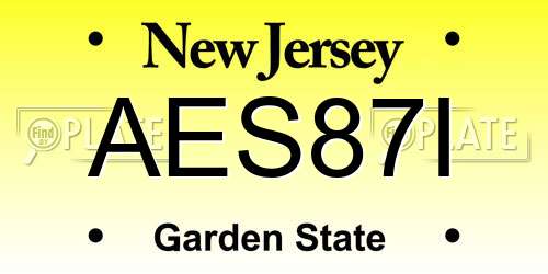 AES87I New Jersey License Plate