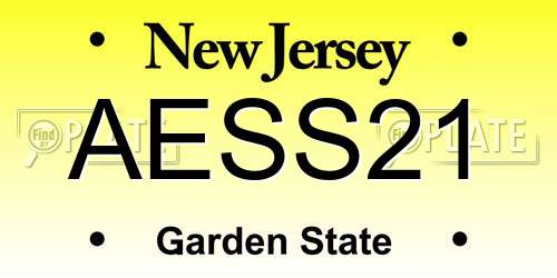 AESS21 New Jersey License Plate