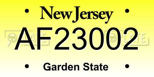 AF23002 New Jersey License Plate
