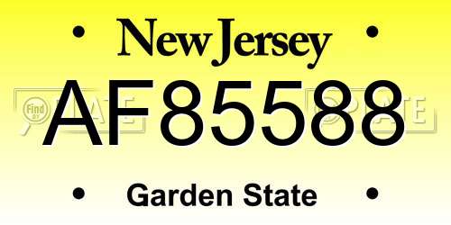 AF85588 New Jersey License Plate