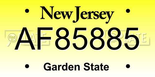 AF85885 New Jersey License Plate