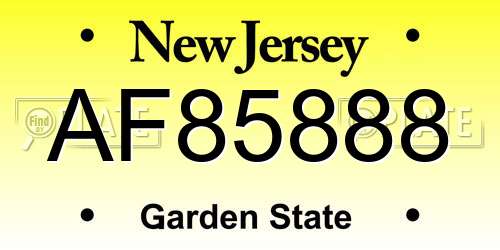 AF85888 New Jersey License Plate