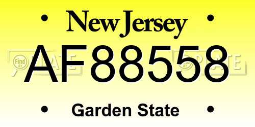 AF88558 New Jersey License Plate