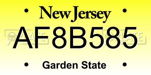 AF8B585 New Jersey License Plate