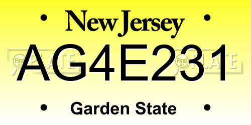 AG4E231 New Jersey License Plate