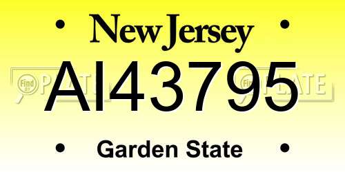 AI43795 New Jersey License Plate