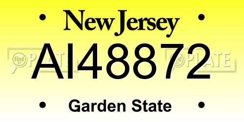 AI48872 New Jersey License Plate