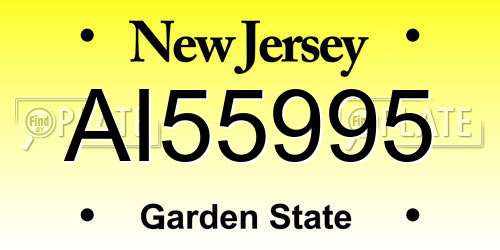 AI55995 New Jersey License Plate
