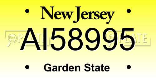 AI58995 New Jersey License Plate