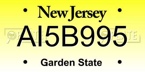 AI5B995 New Jersey License Plate