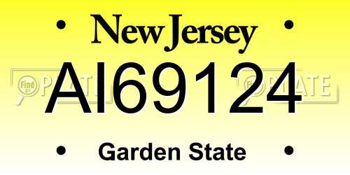 AI69124 New Jersey License Plate