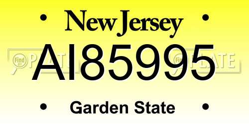 AI85995 New Jersey License Plate
