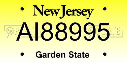 AI88995 New Jersey License Plate