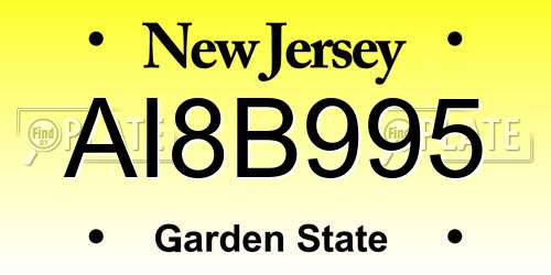 AI8B995 New Jersey License Plate