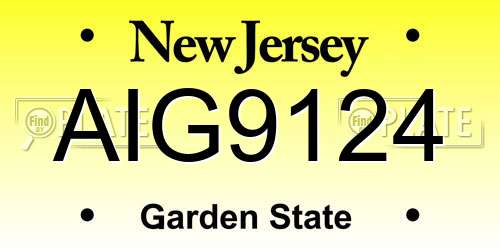 AIG9124 New Jersey License Plate