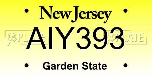 AIY393 New Jersey License Plate