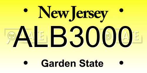 ALB3000 New Jersey License Plate