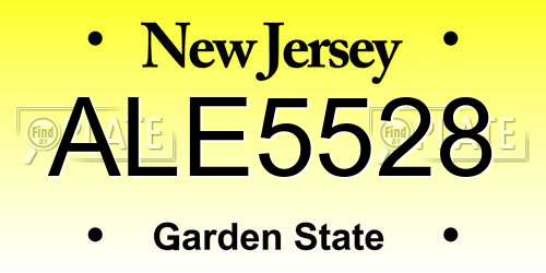 ALE5528 New Jersey License Plate