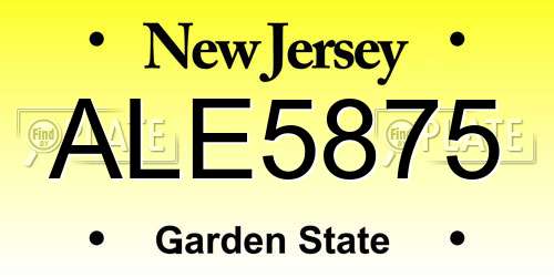 ALE5875 New Jersey License Plate