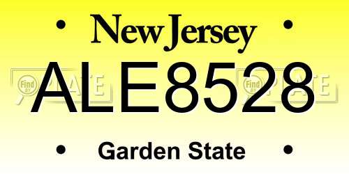 ALE8528 New Jersey License Plate