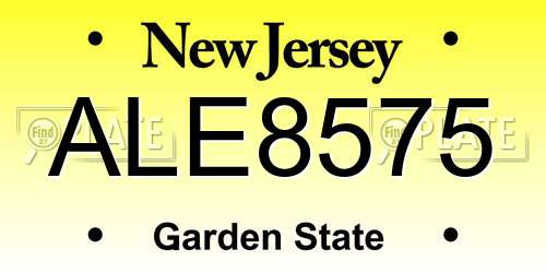 ALE8575 New Jersey License Plate