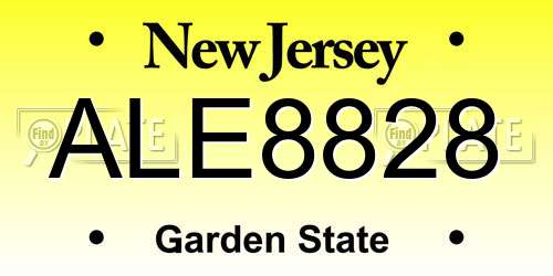 ALE8828 New Jersey License Plate