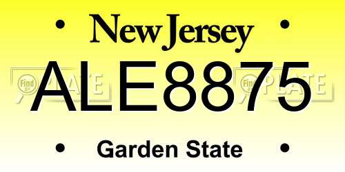 ALE8875 New Jersey License Plate
