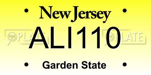 ALI110 New Jersey License Plate