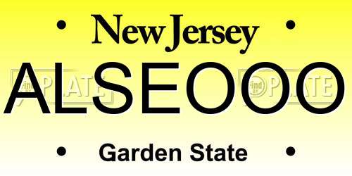 ALSEOOO New Jersey License Plate