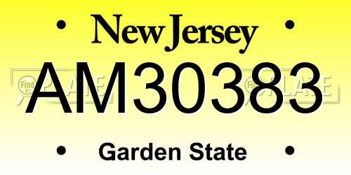 AM30383 New Jersey License Plate