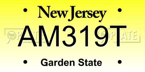 AM319T New Jersey License Plate