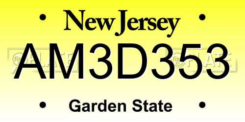 AM3D353 New Jersey License Plate