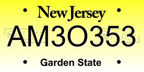 AM3O353 New Jersey License Plate