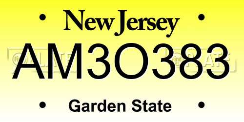 AM3O383 New Jersey License Plate