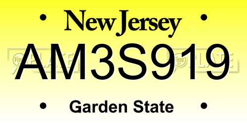 AM3S919 New Jersey License Plate