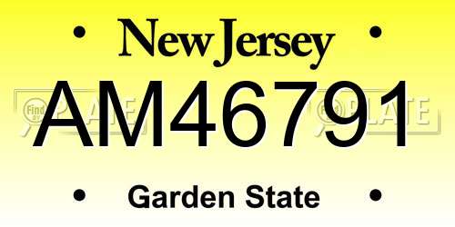AM46791 New Jersey License Plate