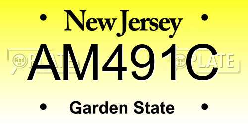 AM491C New Jersey License Plate